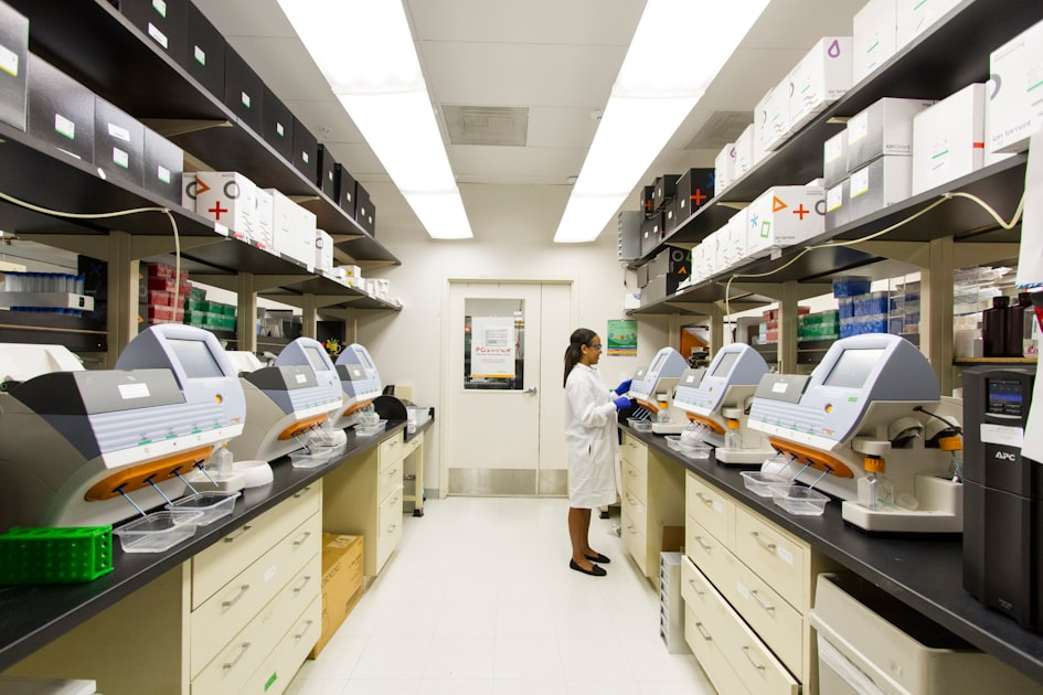 Tailored Solutions for Health Projects